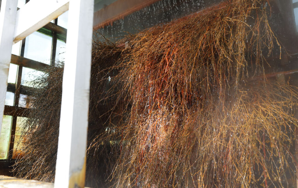 ホテル河内屋 湯雨竹(ゆめたけ)冷却装置