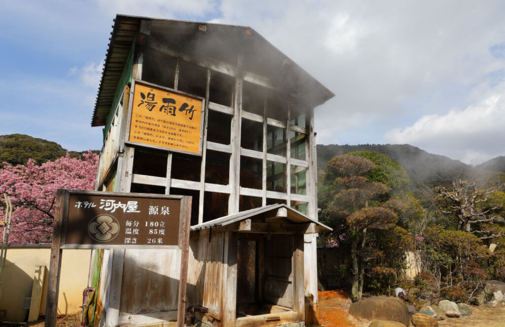 ホテル河内屋 湯雨竹(ゆめたけ)